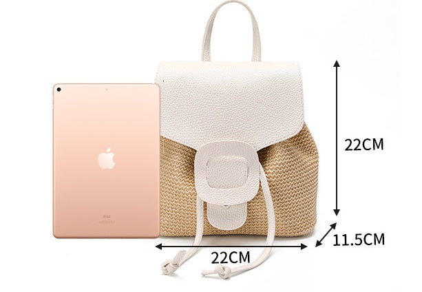 Mini Straw Woven Travel Backpack